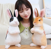 Plush Rabbit Toy