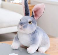 Plush Rabbit Toy