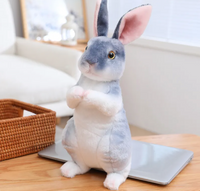 Plush Rabbit Toy