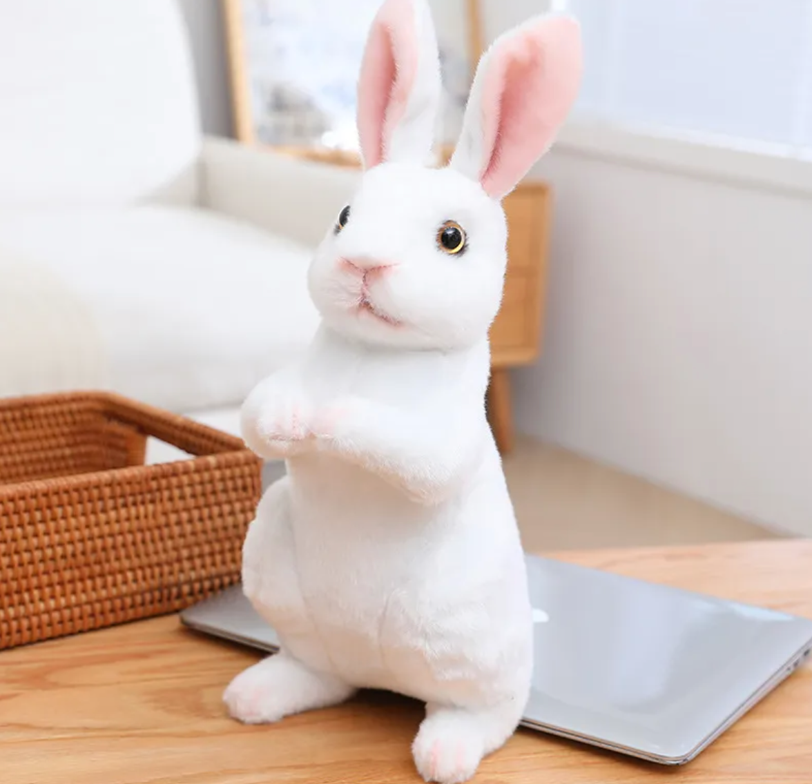 Plush Rabbit Toy