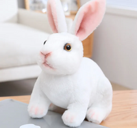 Plush Rabbit Toy